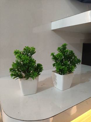NF pilant Bonsai Artificial Plant  with Pot