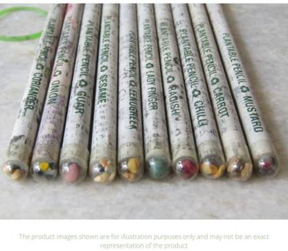 DigiRake Plantable Seed Pencils | Eco Friendly Gift Box | Plantable Pencil Return Gift Pencil