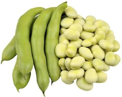 CosaCentrum Vegetable Seeds | Fava Beans Vegetable Seeds For Gardening (50 Seeds Pack) Vicia faba Seed