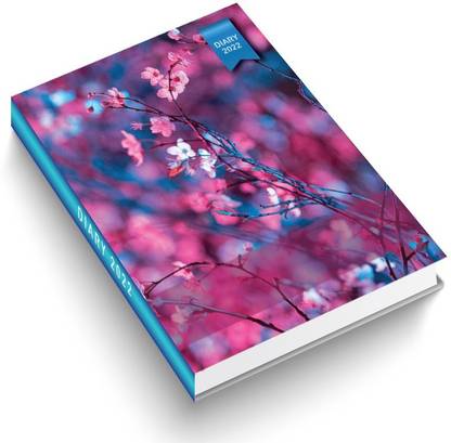 DIPA Astrology Executive Diary 2022 B5 Diary Ruled 435 Pages