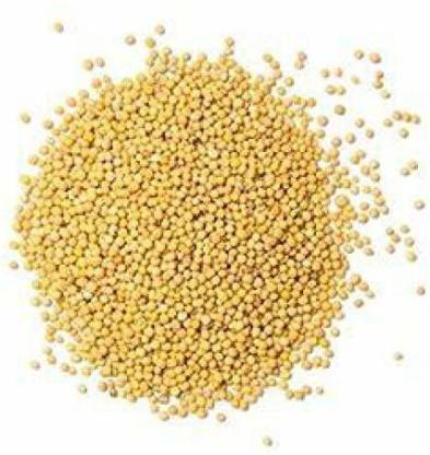 Cadence PEELI SARSON Seed, SARSO PILI, YELLOW MUSTARD Seed