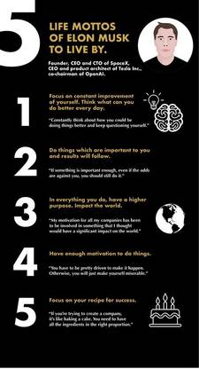 Elon Musk Quotes Matte Finish Poster Paper Print
