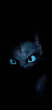 Toothless Dragon Httyd Matte Finish Poster Paper Print
