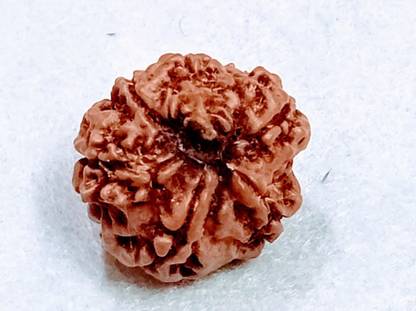 वेग्गा 7 mukhi ganesh rudraksha लकड़ी