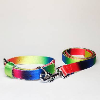 PROJECT CUTENESS Dog Collar & Leash