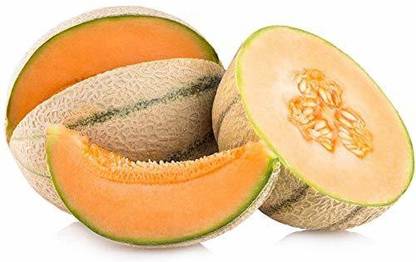 Kenware Musk Melon Striped Orange Flesh, Cantaloupe Fruit Seeds Seed