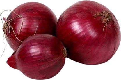 Onion Fresh