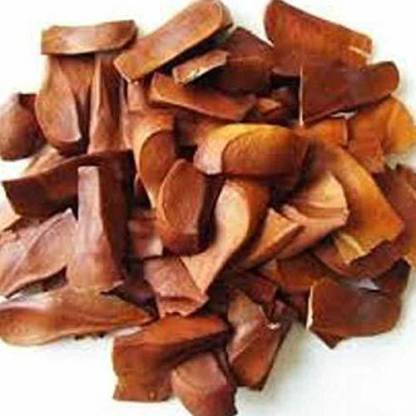 Graasland Swietenia Mahogany Seeds for Planting, Sky Fruit, Mahogany, 10 Seed per packet Seed