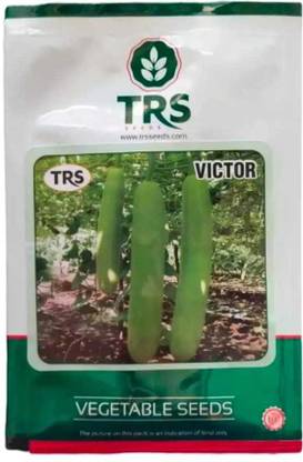 trs victor bottel gourd, lauki Seed