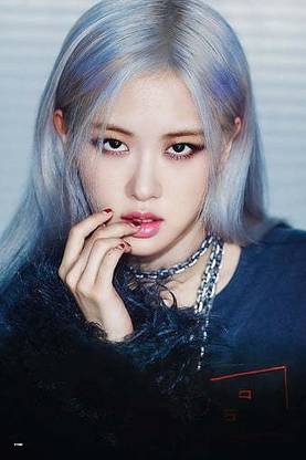 Blackpink Rose Boombaya Du Ddu Du Ddu How You Like That Kill This Love Light Up The Sky Matte Finish Poster Paper Print