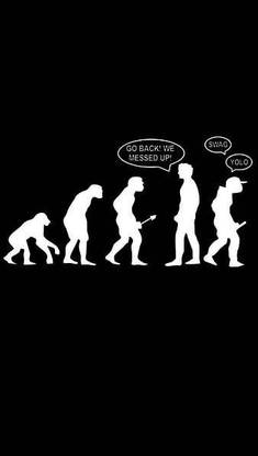 Evolution Funny Swag Yolo Matte Finish Poster Paper Print