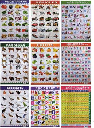 9 Combo Kids Educational Board Charts ( Tamil Arisuvadi, Tamil Eluthukkal, ABC Chart, Numbers, Animals, Vegetables, Fruits, Vehicles And Birds )