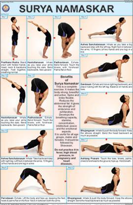 TeachingNest | Surya Namaskar Yoga Chart | Yoga Chart | With Rollers | English Wall Chart