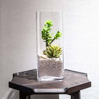 Virya Rectangle Shaped Crystal Clear Glass Vase for Table for Home/Office Decor Large Size (without flowers) Glass Vase