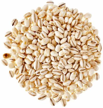 IJJA Barley Millets Barley