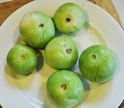 MKR Enterprises Round Gourd Seed