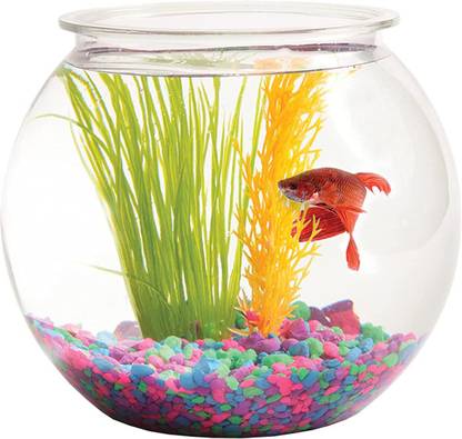 Petzlifeworld Aquarium Plastic Fish Bowl Not Fragile and Scratch Free Aquarium Tool