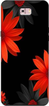 Nassion Back Cover for Samsung Galaxy C7 Pro