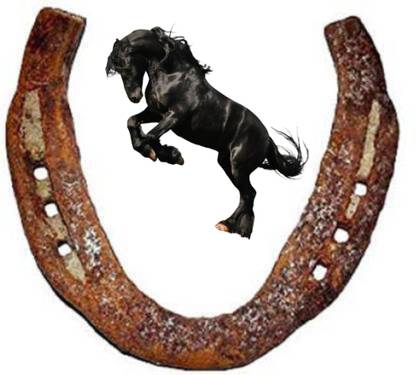 Sunflower Horse Shoe Ring