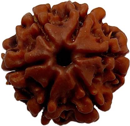 प्रियांशु नवरत्न Natural 6 Face Rudraksha Beads Original & Real Natural Lab Certified 6 Mukhi Rudraksha Beads Man & Women Beads लकड़ी
