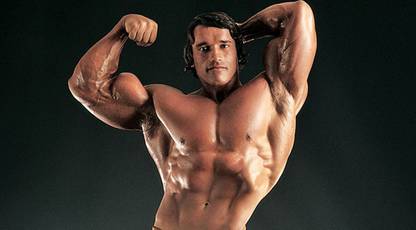 arnold schwarzenegger bodybuilding POSTER HD Wallpaper Background Fine Art Paper Fine Art Print