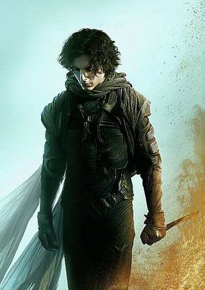 Timothee Chalamet Dune Movie Matte Finish Poster Paper Print