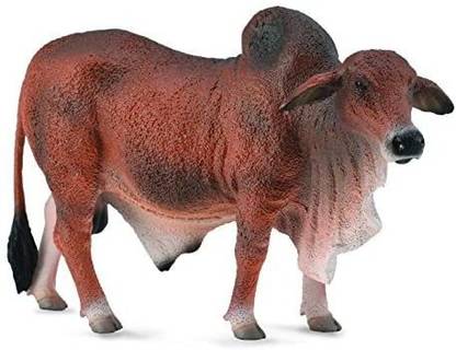 Yunona Red Brahman Bull
