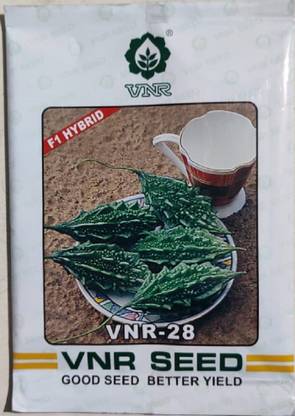 VNR Bitter Gourd Seeds Number 28 Seed