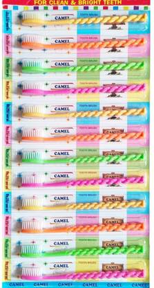 RARE-ZONE Camel Soft-Medium Toothbrush Modern Design (Pack of 12) Medium Toothbrush