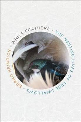 White Feathers
