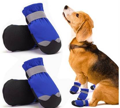 KUTKUT Shoes for Dog