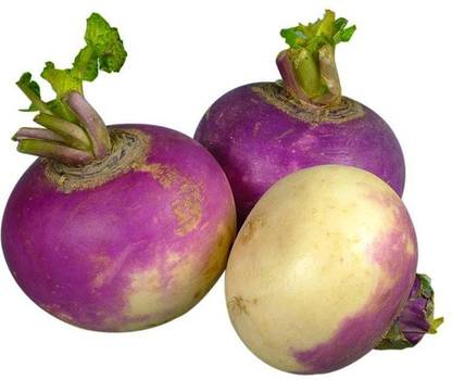 Turnip