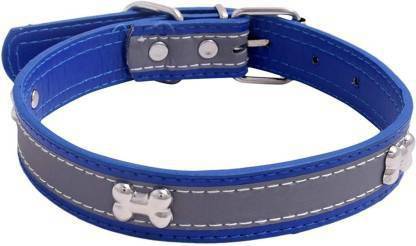 ARS Exports Dog Everyday Collar