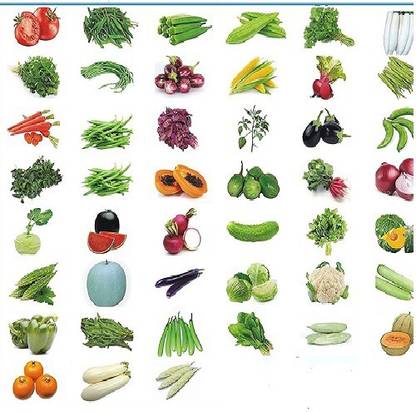 Advance seeds Natural Vegetable Seeds 50 Variety of Vegetable Seeds Seed