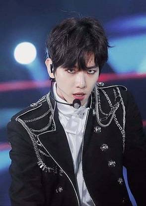 Byun Baekhyun Baek Exo Tayr Matte Finish Poster Paper Print