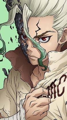 Senku Ishigami Anime Dr Stone Fan Art Genio Gratis Husband Inteligencia Ishigami Senku Matte Finish Poster Paper Print