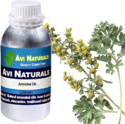 AVI NATURALS Armoise Oil, 100% Pure, Natural & Undiluted