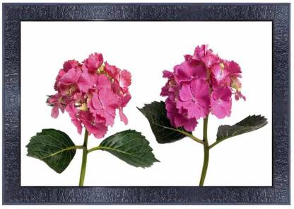 pnf New born Baby Frames Wood Photo Frames with Acrylic Sheet (Glass)0487 Digital Reprint 10.5 inch x 13.5 inch Painting