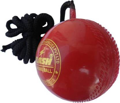 DSA HANGING BAL Cricket Training Ball