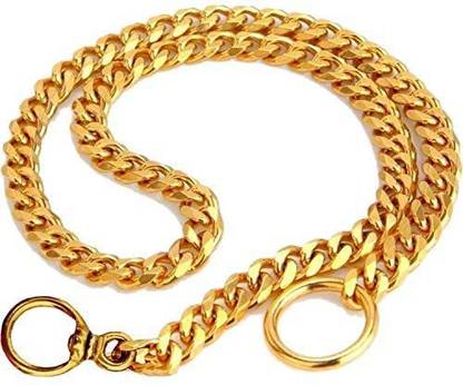 DogTrust 25 cm Dog Chain Leash