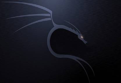 hjdjwzHP linux kali linux nethunter kali linux wallpaper Poster Paper Print