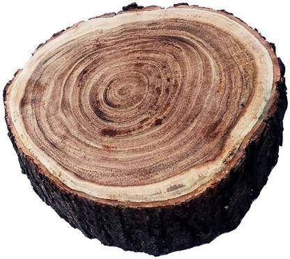 Aaila Live Edge Wood Butcher Block Chopping Cutting Board (9-12 INCHES) Wooden Cutting Board