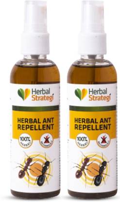 Herbal Strategi JustOut Ant Repellent Spray Ant Repellent for Home (Pack of 2)