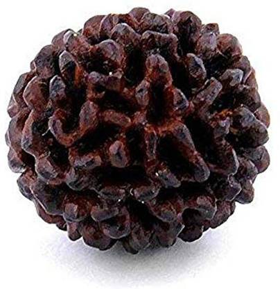 UNICOP 1 Mukhi Round Rudraksha Original A1 Quality Natural Bead. Wood