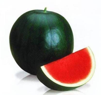 Dream mall Watermelon Seeds Seed