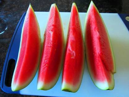 Dream mall Watermelon Seeds Seed