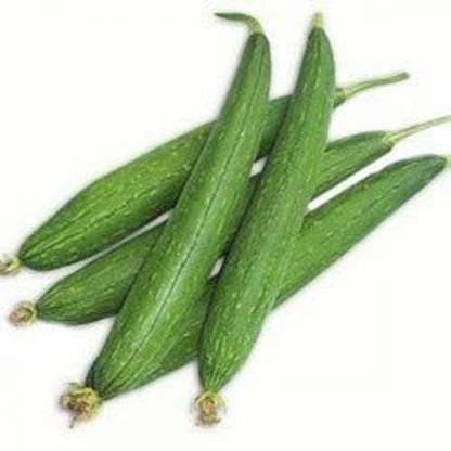 MKR Enterprises Sponge Gourd Seed