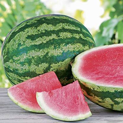 Dream mall Watermelon Seeds Seed
