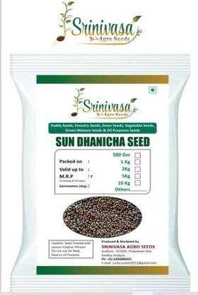 Srinivasa Agro Seeds sun dhanicha Seed