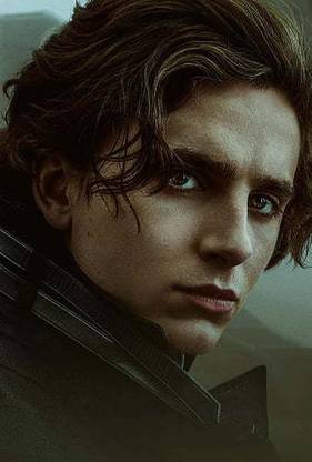 Timothee Chalamet In Movie Dune Matte Finish Poster Paper Print